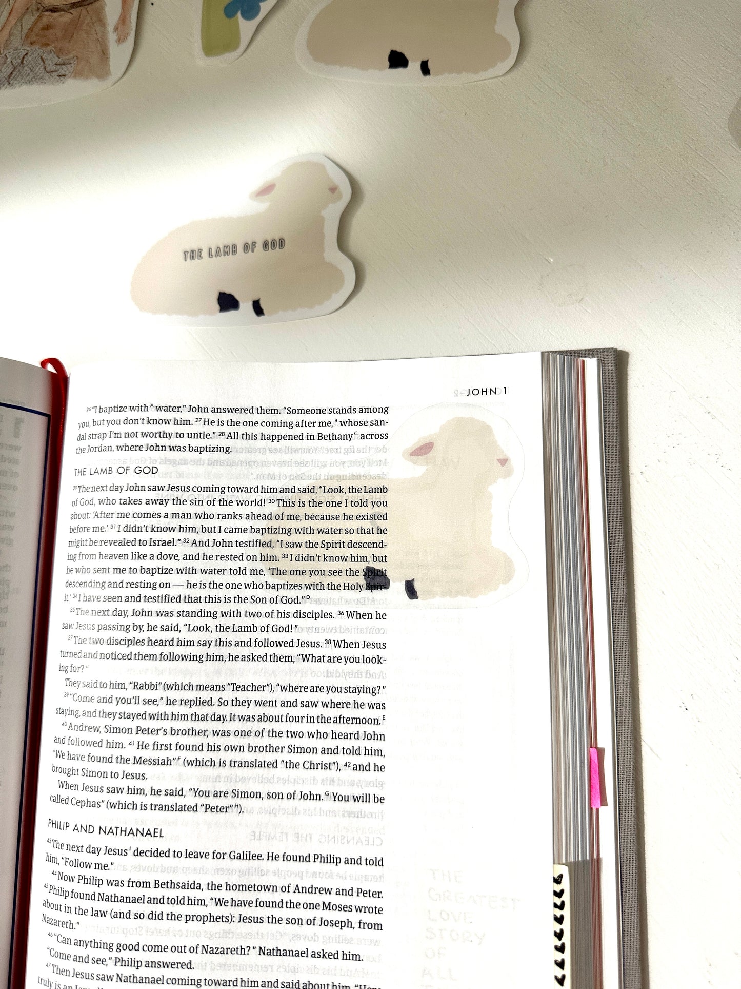 Lamb of God Sticker | Bible Sticker