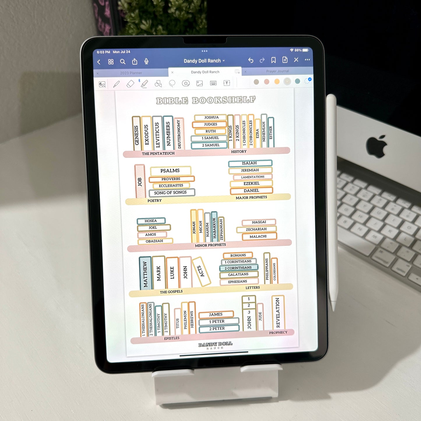 Digital Bible Bookshelf (2 Pack)